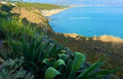 Arena Dorada apartaments Margarita - Foto 17