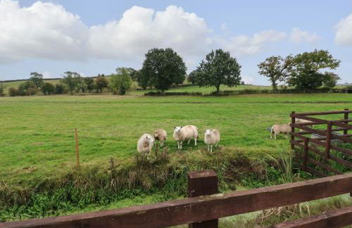 The Pod at Bank House Farm - Photo 9