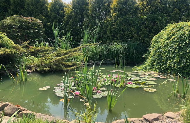 Holiday Home Podamirowo Near Lake Jamno - Photo 17