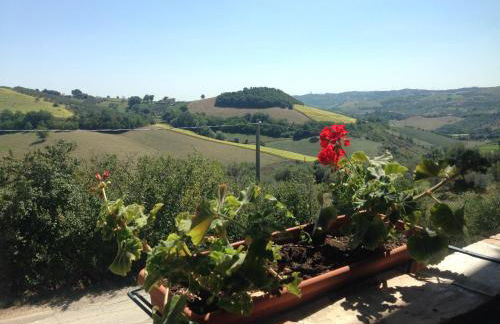 Agriturismo Cignale della Società Agricola Cignale srl - Photo 49