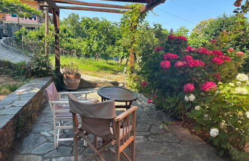 Homer's Guesthouse - Foto 23