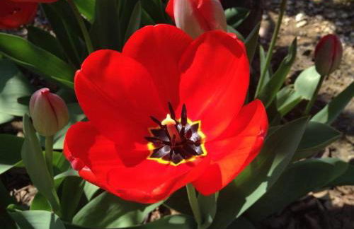 Fattoria Agriturismo Nerbona - Foto 24