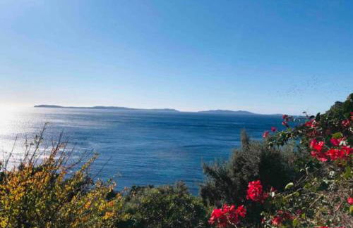 Villa les Alizés - Foto 41