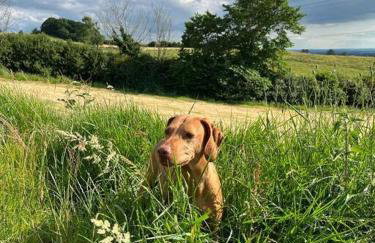 Foxhall Farm - Foto 13