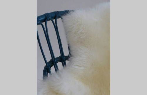 T2 Montpellier centre, climatisé - Photo 18