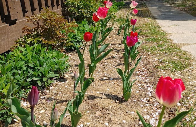 Paju Gamaksan Pension - Foto 47