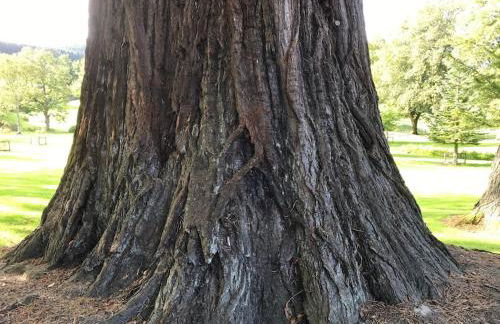 The Den - your cosy sleepover space - Photo 25