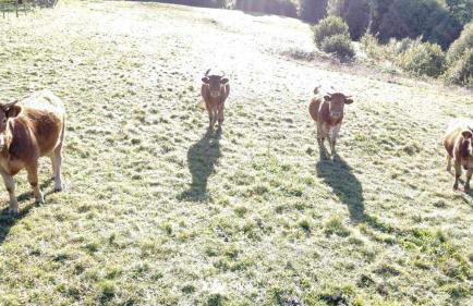 Gîte de la Ferme de la Comté - Foto 27