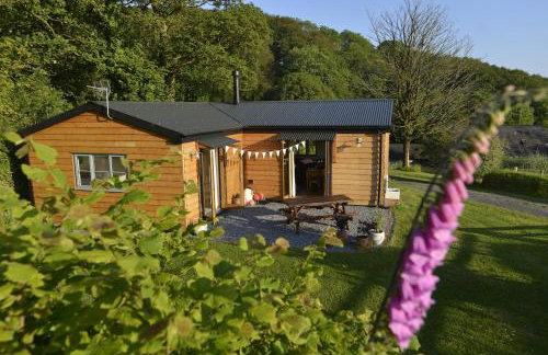 Sweet Pea Cottage, Amroth - Foto 14