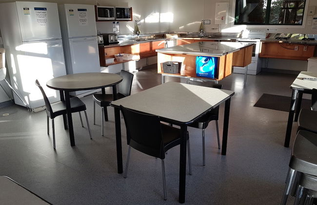 Waitomo Top 10 Holiday Park - Foto 42