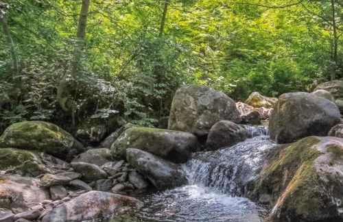 1 Bronrallt - Foto 23