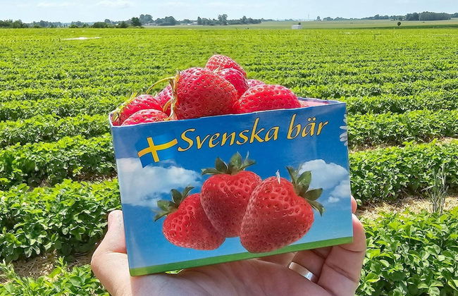 3 Person Holiday Home in Hunvigan-by Traum - Foto 12