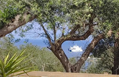 Suite Home Villa Paxos - Photo 42