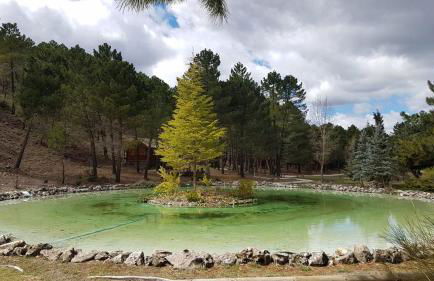 Chalet Esmeralda 3 d y 2 baños ZAFIRO LAGUNAZO Parque Natural Rio Mundo Riopar - Foto 66