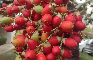 Barra Rio Centro - Foto 23