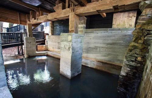 Meadows Mill House III - Foto 23