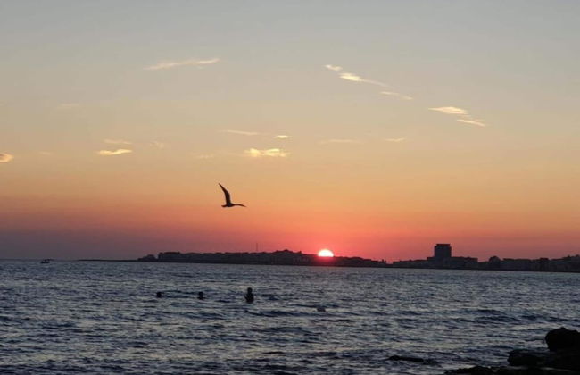 Sunny Garden Stay in Taviano - Foto 40