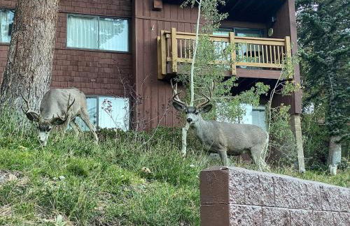 Walk to Canyon Lodge Ski back Modern Space - Foto 27