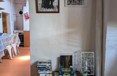 Monte das Aranhas - Foto 74