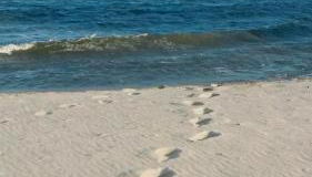 Haus OstseeLicht - Foto 3