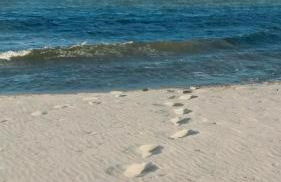 Haus OstseeLicht - Foto 3