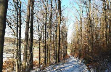 Ferienhof"WaldEsel Rippersroda" - Foto 54