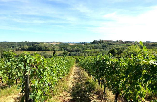 Splendid Holiday Home in Orciatico with Hot Tub & Pool - Foto 38