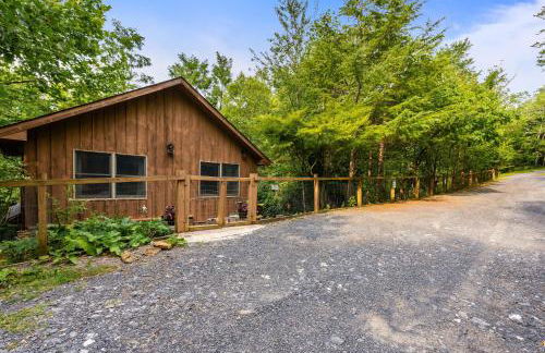Highland Cabin 4BD/2BR near Harrisonburg VA - Foto 66