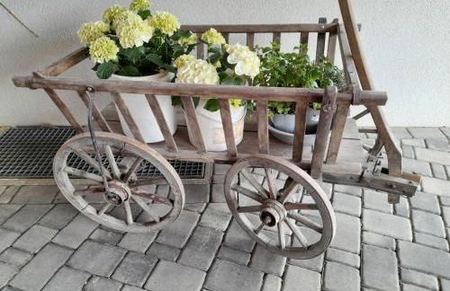 LAND-Häusle - Photo 17