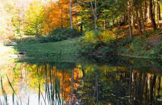 Birch Creek Lodge - Foto 34