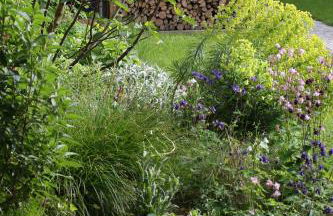 Klemmbachidyll - Photo 30