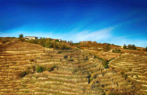 Condrieu et parking voiture vélo 2 ème étage - Foto 46