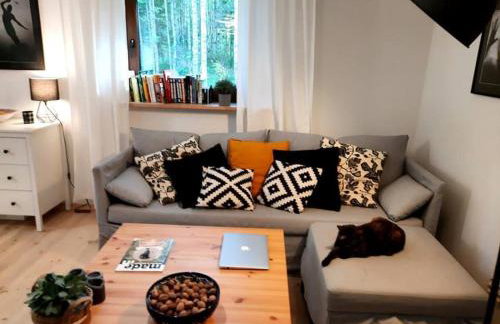 Między Brzozami - Foto 6