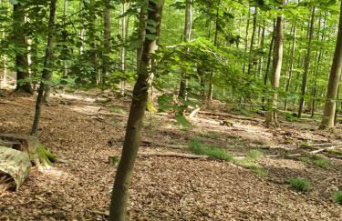 Landleben - Ferienhaus 2 - Foto 29