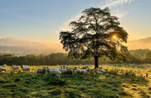 Barleycombe - Foto 36