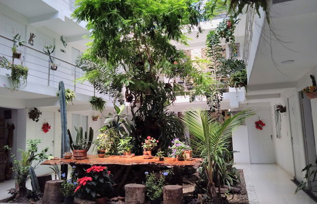 Hotel Boutique Los Remansos - Photo 24