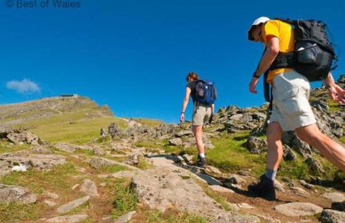 2 Bed in Porthmadog oc-82928 - Photo 26