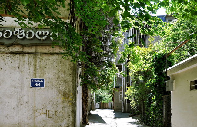 BFG Suites Apartments - Photo 79