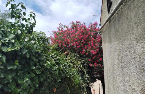 Apartments Nevija - Foto 41