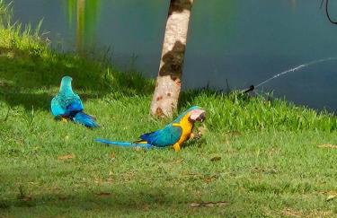 Paraiso valle verde - Foto 45