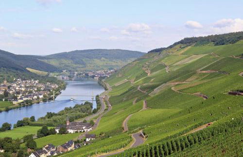 Bernkasteler Moselpanorama - Foto 15