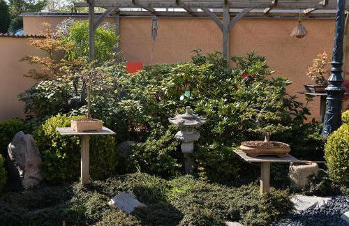 Fleur de Vigne - Foto 22