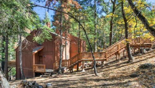 Forest Glen - Foto 3