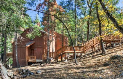 Forest Glen - Foto 3