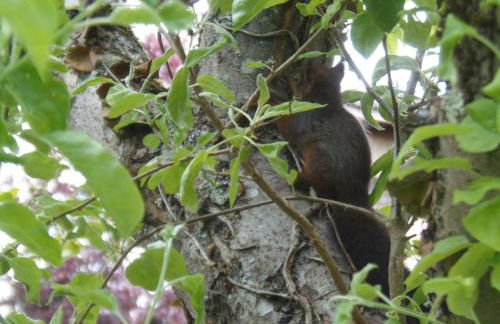 Les Cimaises du Couvent - Foto 25