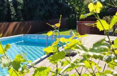 Green Willow Siedlisko - Foto 3