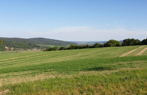 RhönStyle - Foto 31