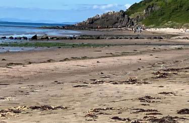 Wee Beach Hut Maidens - Foto 8