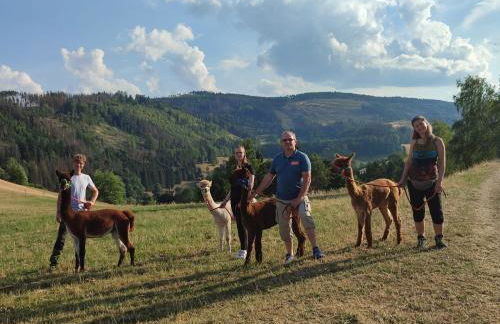 Ferienhaus im Kumbachtal - Foto 36