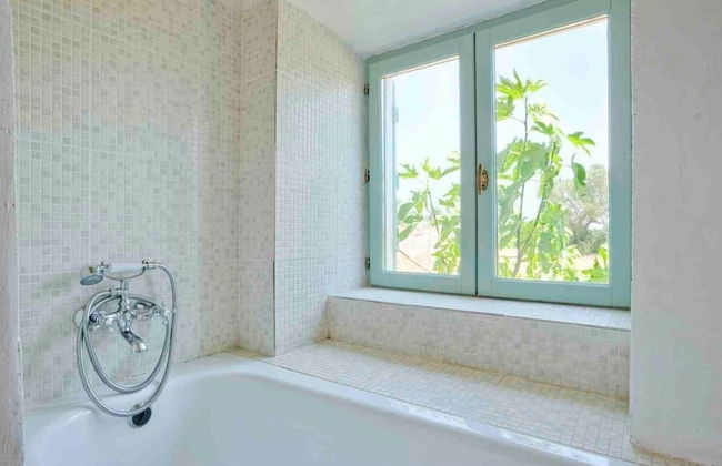 Morgado do Quintao - Foto 55